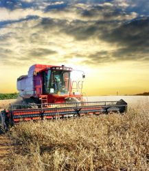 tractor1